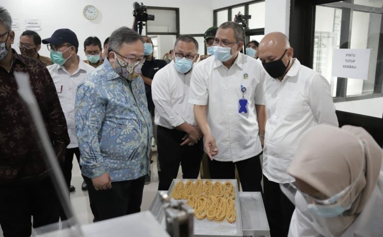 Menristek Dorong Inovasi TTG untuk Penguatan Daya Saing UMKM