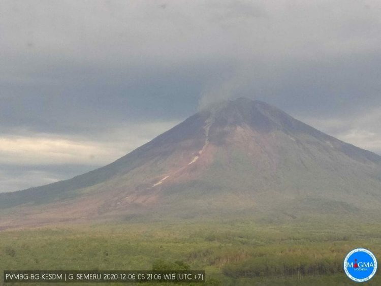 Semeru Terus Gugurkan Awan Panas