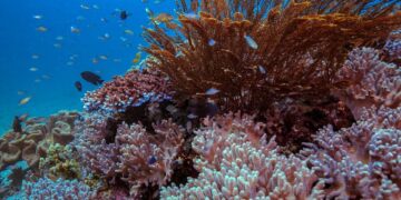 Menparekraf Ingin Kembangkan ‘Travel Pattern’ di Sulsel