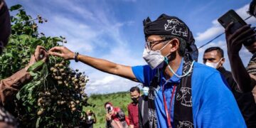 Menparekraf Tinjau Kampung Agrinex Pandeglang Banten