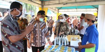 Pemerintah mendorong UMKM manfaatkan platform digital