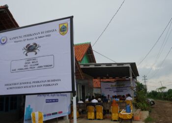 4 Kabupaten di Kalimantan Utara Ditetapkan sebagai Pusat Kawasan Kampung Perikanan Budidaya