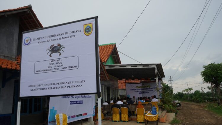 4 Kabupaten di Kalimantan Utara Ditetapkan sebagai Pusat Kawasan Kampung Perikanan Budidaya