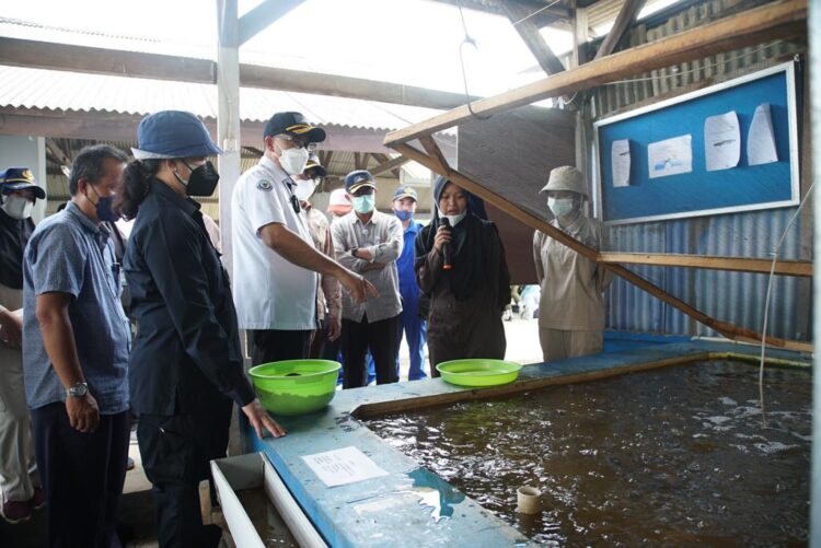 KKP Meningkatkan Kapasitas SDM Melalui Sektor Pendidikan