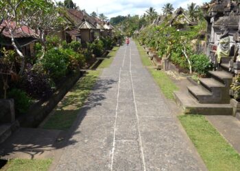 BPBD Se-Provinsi Bali Berkomitmen Sukseskan GPDRR 2022