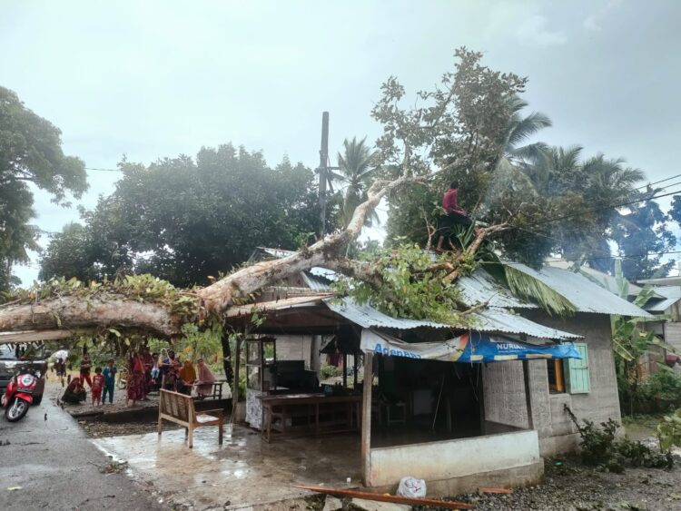Angin Kencang Beserta Hujan di Aceh Besar, 194 Rumah Terdampak
