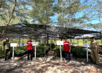 PT Elnusa Petrofin Kembangkan Area Pembenihan di Kawasan Belitung Mangrove Park