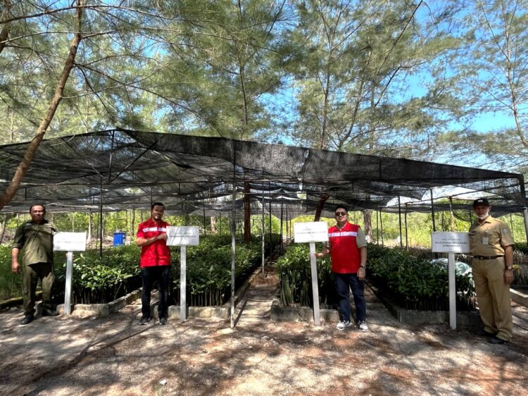 PT Elnusa Petrofin Kembangkan Area Pembenihan di Kawasan Belitung Mangrove Park