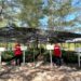 PT Elnusa Petrofin Kembangkan Area Pembenihan di Kawasan Belitung Mangrove Park