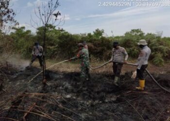 Kebakaran Lahan terjadi di Rokan Hilir Riau, Tersebar di 5 Titik dan 4 Desa