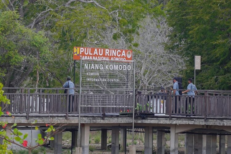 Wisatawan Bisa Nikmati Komodo di Pulau Rinca, Harga Tiket Tidak Berubah