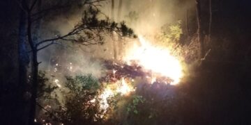 Kebakaran Hutan Terjadi di Aceh Tengah, 3 Hektar Lahan Terdampak