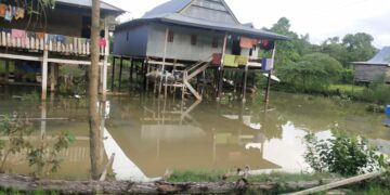 Satu Desa di Konawe Terendam Banjir karena Tanggul Jebol