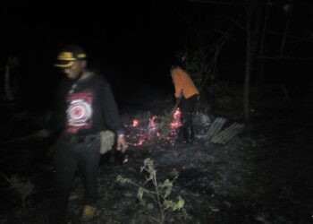 Lahan Seluas 1 Hektar di Kabupaten Situbondo Terbakar, Tim Gabungan Berhasil Padamkan Api