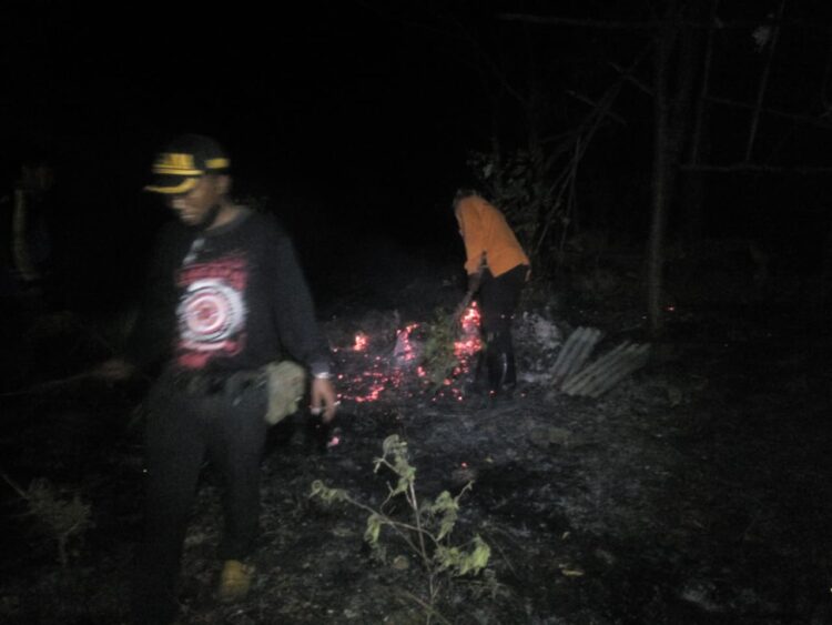 Lahan Seluas 1 Hektar di Kabupaten Situbondo Terbakar, Tim Gabungan Berhasil Padamkan Api