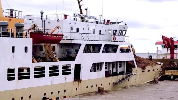 Kemenhub Optimalkan Kapal Ternak di Layanan Tol Laut