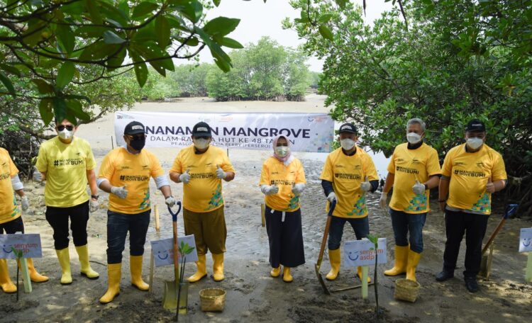 Penanganan Perubahan Iklim, ASDP Akselerasi Program Penanaman Mangrove untuk Tekan Emisi Karbon
