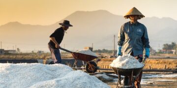 Produksi Garam dapat Didongkrak dengan Mengoptimalkan Teknologi
