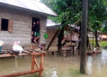 Wilayah Aceh Timur Terendam Banjir, 104 Ribu Kepala Terdampak