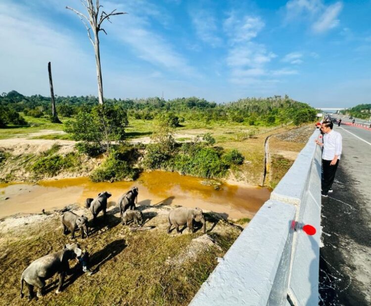 Presiden Jokowi: Pembangunan Infrastruktur Harus Memperhatikan Kelestarian Lingkungan
