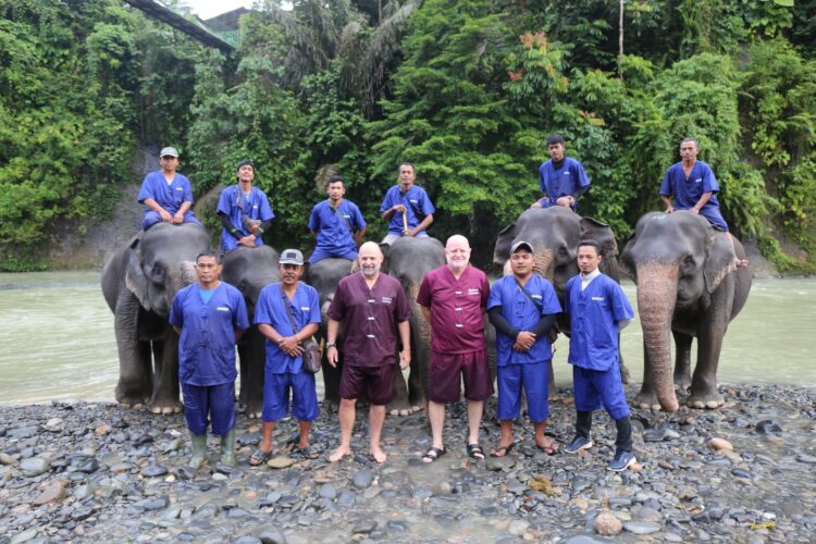 Konservasi Gajah di Ekowisata Tangkahan dapat Apresiasi dari Dunia Internasioanal