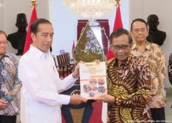 Pemerintah Berharap Tidak Ada Lagi Pelanggaran HAM Berat di Indonesia