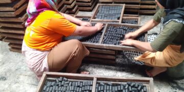 BRIN Rumuskan Pengembangan Briket untuk Produk Biomassa