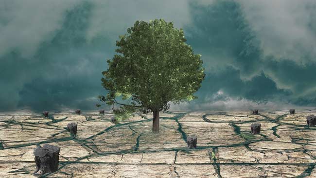 IPCC: Krisis Iklim sedang Terjadi Secara Cepat dan Meningkatkan Frekuensi Cuaca Ekstrem