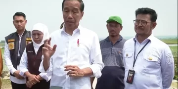 Presiden Jokowi Dorong Petani Padi Gunakan Pupuk Organik Lokal