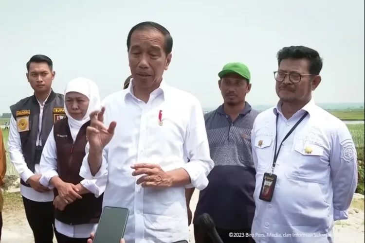 Presiden Jokowi Dorong Petani Padi Gunakan Pupuk Organik Lokal