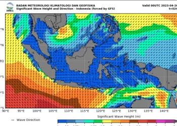 BMKG: Waspada Gelombang Tinggi di Beberapa Wilayah Indonesia