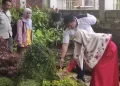 Kebun Raya Eka Karya di Bali Diharapkan Fokus Konservasi Jenis Tanaman yang Terancam Punah