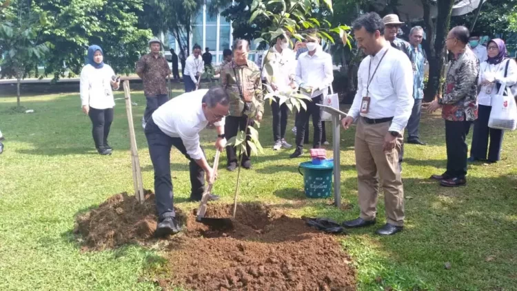 BRIN Konversasi Tumbuhan yang Dinyatakan Punah oleh IUCN-SSC