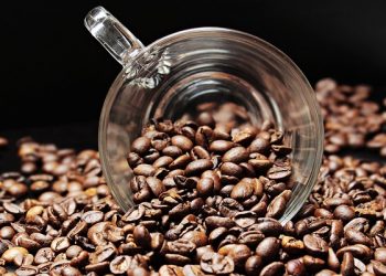 50 Ton Komoditas Kopi Asal Subang Diekspor ke Mesir dan Libanon