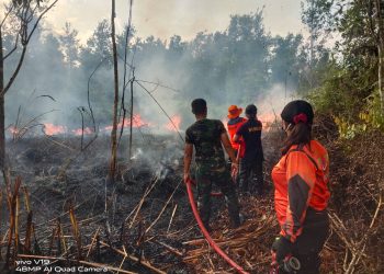 Kebakaran Lahan 26 Hektar di Barito selatan, 2 Unit Truck Damkar Diterjunkan