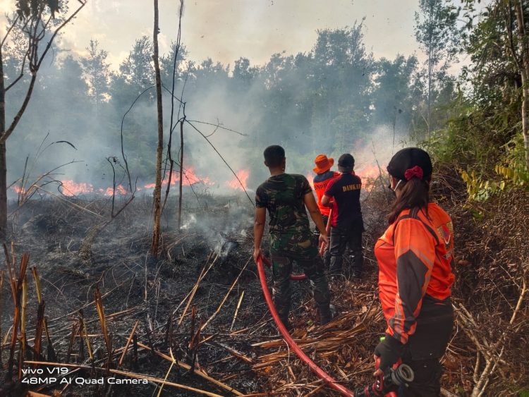 Kebakaran Lahan 26 Hektar di Barito selatan, 2 Unit Truck Damkar Diterjunkan