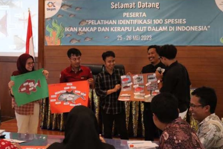 Pelatihan Identifikasi 100 Spesies Ikan Kakap dan Kerapu Laut Dalam Dilaksanakan di Bali