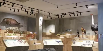 Animalium Bogor, Tempat Belajar Sambil Berwisata di Museum Satwa