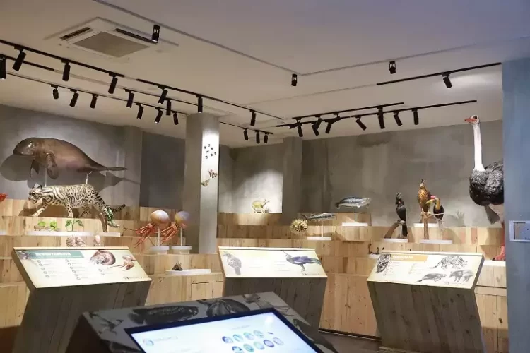 Animalium Bogor, Tempat Belajar Sambil Berwisata di Museum Satwa