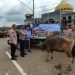 Titan Group Berikan Satu Ekor Sapi Jantan ke Polres Pali