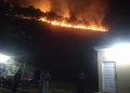 Kebakaran Lahan Terjadi di Sumatera Utara, Api Sulit Padam Dikarenakan Angin Kencang