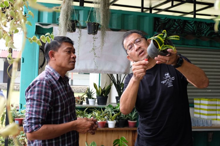 Menteri Sosial Menginisiasi Pemberdayaan Sosial Melalui Budidaya Tanaman Hias