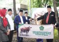 Kemenag Serahkan Bantuan Menteri Agama Berupa Seekor Sapi Qurban kepada Masjid Istiqlal