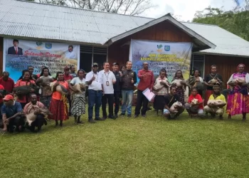 Menteri Sosial Beri Bantuan Seribu Babi kepada Masyarakat Memberamo Tengah