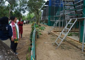 KSP: Menjaga Keberlangsungan Hidup Orangutan Butuh Kolaborasi dan Kerja Sama