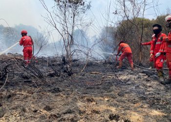 Kebakaran Hutan di Indonesia, Tidak Ada Asap Melintas Ke Malaysia