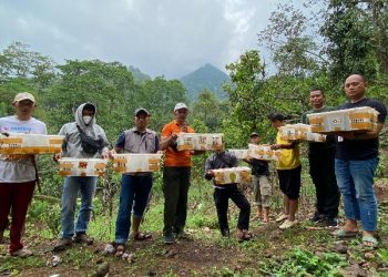 BKSDA Bengkulu Gagalkan Pengiriman Ilegal 787 Ekor Satwa Liar Burung