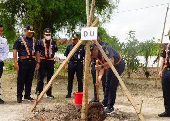 Sukseskan Gerakan Satu Juta Pohon, KAI Tanam Pohon dan Hijaukan Stasiun Serentak di Berbagai Daerah