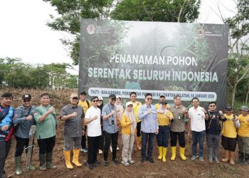 Penanaman Pohon Serentak Tahun 2024 di Provinsi Kalimantan Selatan