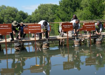 USFS Chief Tanam Mangrove di TWA Angke